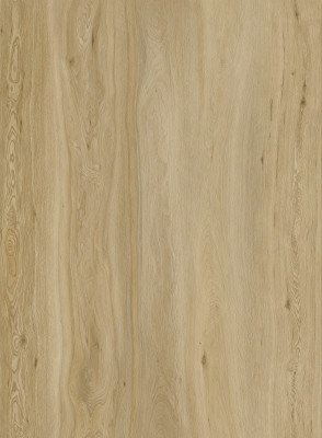 Canyon Bronze